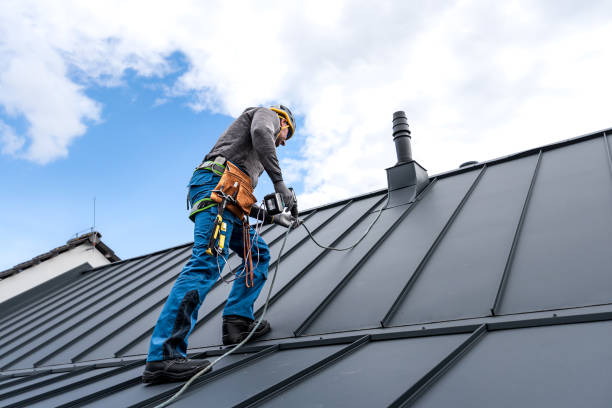 Best Asphalt Shingle Roofing  in Forest View, IL